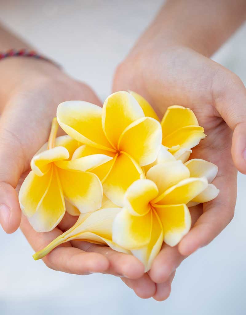 サロンプアラニの店内写真