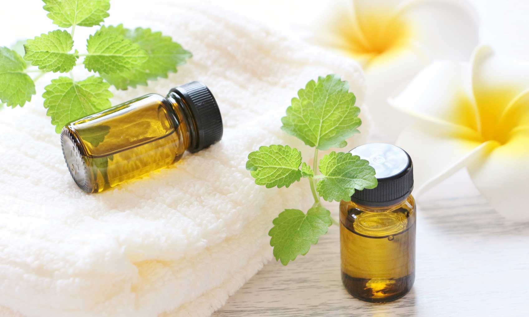 身体の内側をキレイにするインナーケアの紹介